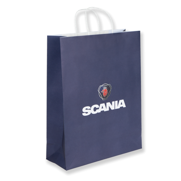 Paper Bag Medium (25 PK)