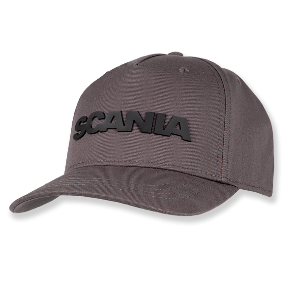Wordmark Baseball Cap - Grey